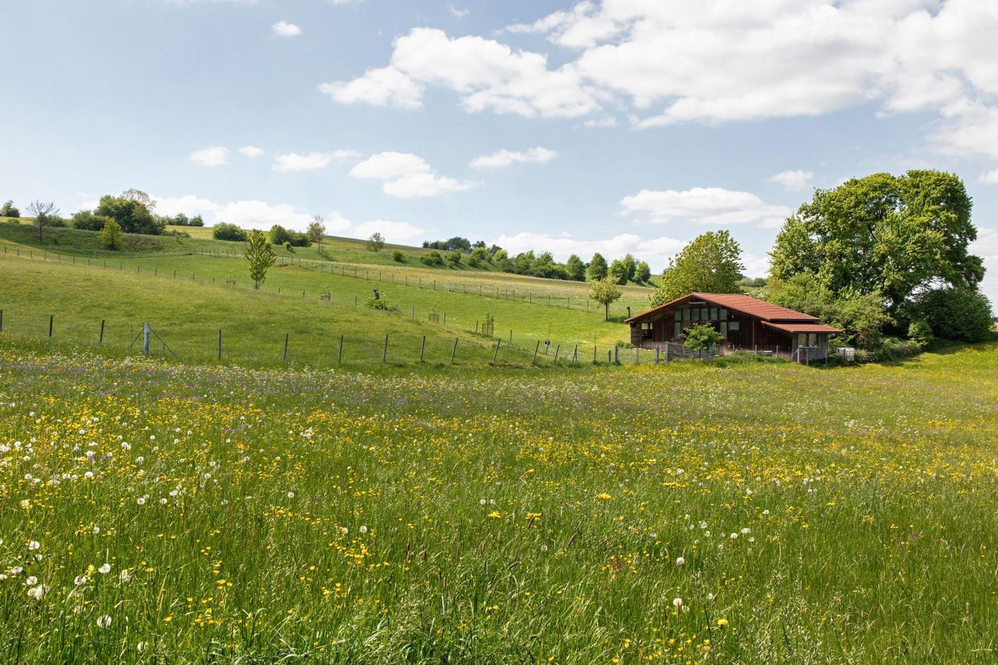 Ferienwohnung Emilia, 36Qm Münsingen Zewnętrze zdjęcie